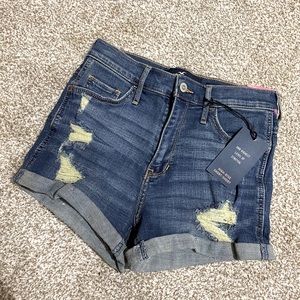 NWT HOLLISTER SHORTS